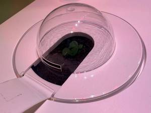 Продается  умный домашний сад **Click & Grow Smart Garden 9 PRO** на 9 растений.